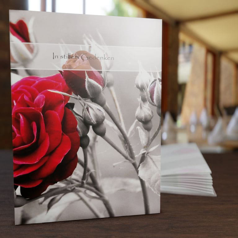 † Kondolenzbuch Rosen online kaufen TrauerDruckPortal