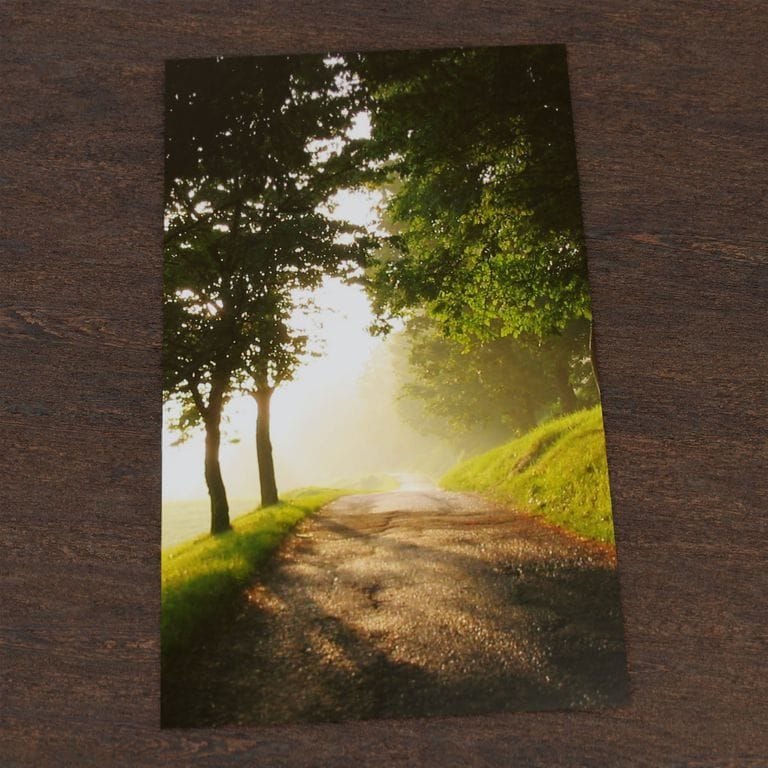 Sterbebild Waldlichtung<br><small>25 Sterbebilder für 36,50€</small>