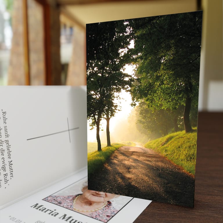 Sterbebild Waldweg<br><small>25 Sterbebilder für 40,25€</small>