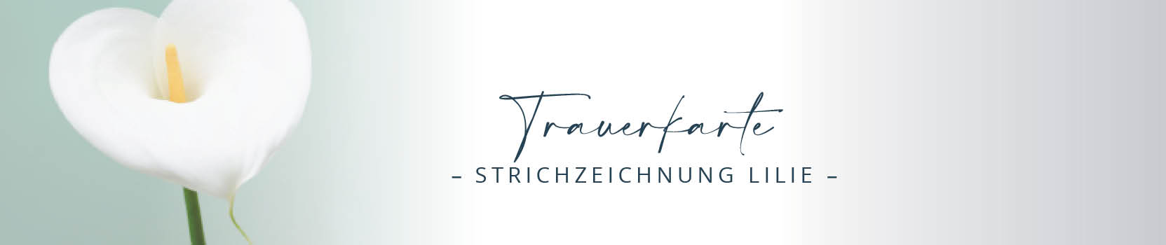 trauer_strichzeichnung_lilie_banner