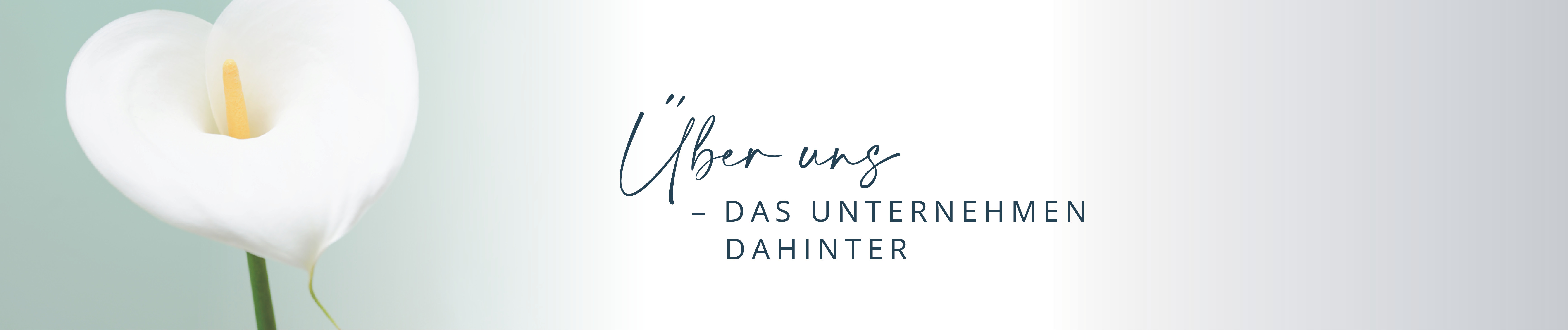 Über uns Banner